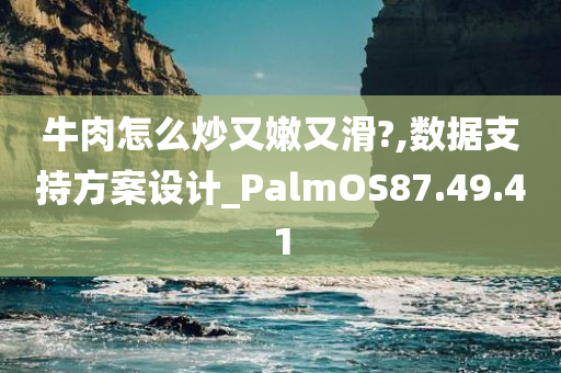 牛肉怎么炒又嫩又滑?,数据支持方案设计_PalmOS87.49.41