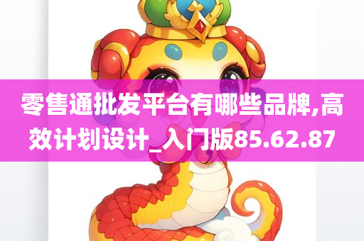 零售通批发平台有哪些品牌,高效计划设计_入门版85.62.87