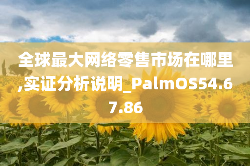 全球最大网络零售市场在哪里,实证分析说明_PalmOS54.67.86