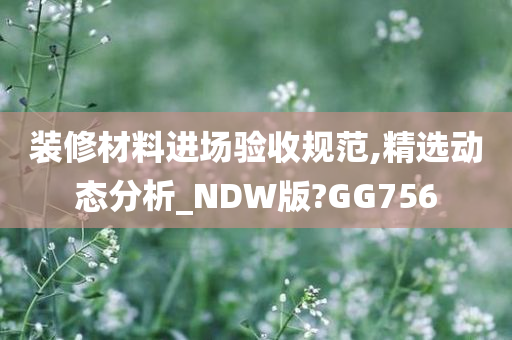 装修材料进场验收规范,精选动态分析_NDW版?GG756