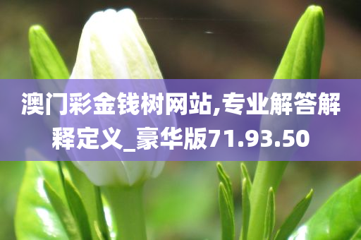 澳门彩金钱树网站,专业解答解释定义_豪华版71.93.50