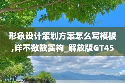 形象设计策划方案怎么写模板,详不数数实构_解放版GT45