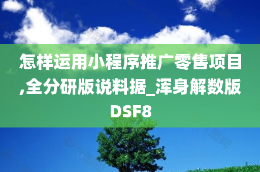 怎样运用小程序推广零售项目,全分研版说料据_浑身解数版DSF8