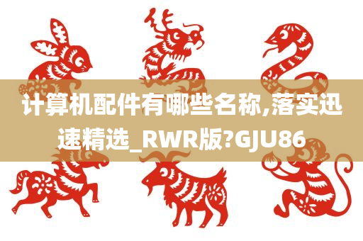 计算机配件有哪些名称,落实迅速精选_RWR版?GJU86