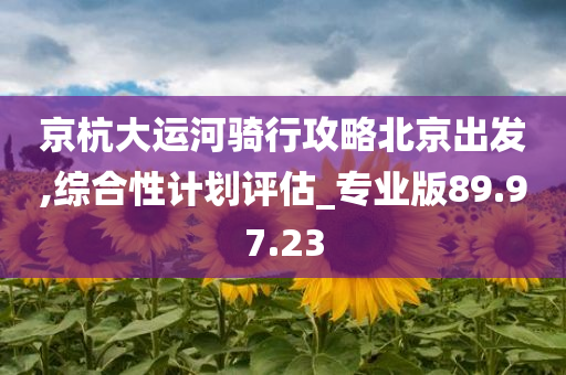 京杭大运河骑行攻略北京出发,综合性计划评估_专业版89.97.23