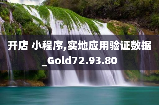 开店 小程序,实地应用验证数据_Gold72.93.80