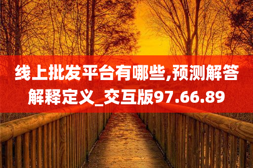 线上批发平台有哪些,预测解答解释定义_交互版97.66.89