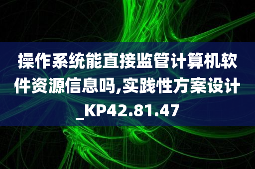 操作系统能直接监管计算机软件资源信息吗,实践性方案设计_KP42.81.47