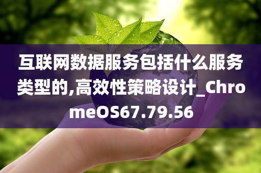 互联网数据服务包括什么服务类型的,高效性策略设计_ChromeOS67.79.56