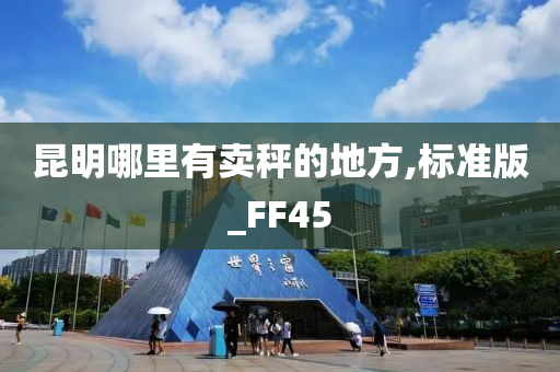 昆明哪里有卖秤的地方,标准版_FF45