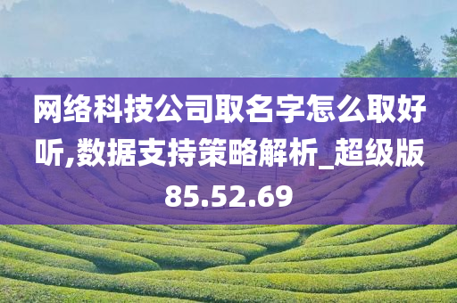 网络科技公司取名字怎么取好听,数据支持策略解析_超级版85.52.69