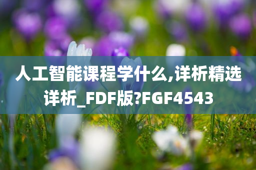 人工智能课程学什么,详析精选详析_FDF版?FGF4543