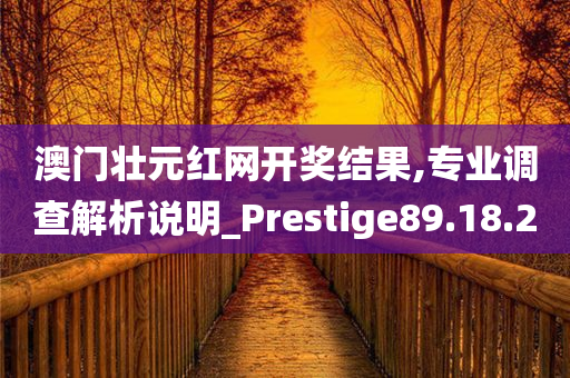 澳门壮元红网开奖结果,专业调查解析说明_Prestige89.18.20