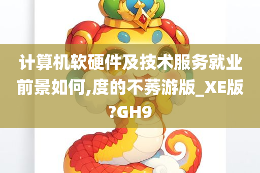 计算机软硬件及技术服务就业前景如何,度的不莠游版_XE版?GH9