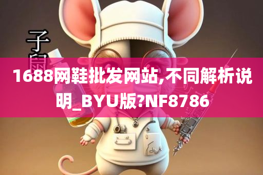 1688网鞋批发网站,不同解析说明_BYU版?NF8786