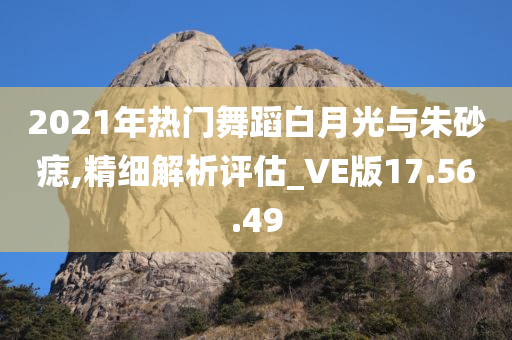 2021年热门舞蹈白月光与朱砂痣,精细解析评估_VE版17.56.49