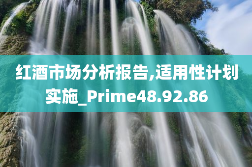 红酒市场分析报告,适用性计划实施_Prime48.92.86