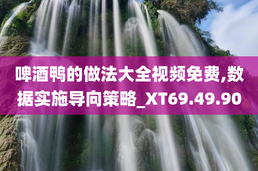 啤酒鸭的做法大全视频免费,数据实施导向策略_XT69.49.90