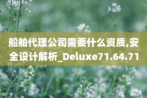 船舶代理公司需要什么资质,安全设计解析_Deluxe71.64.71