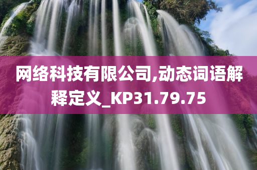 网络科技有限公司,动态词语解释定义_KP31.79.75