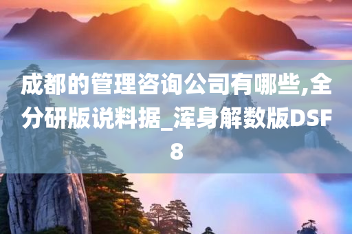 成都的管理咨询公司有哪些,全分研版说料据_浑身解数版DSF8