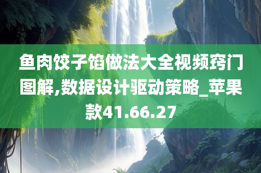 鱼肉饺子馅做法大全视频窍门图解,数据设计驱动策略_苹果款41.66.27