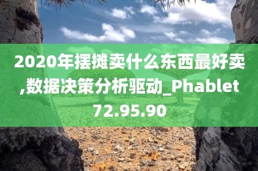 2020年摆摊卖什么东西最好卖,数据决策分析驱动_Phablet72.95.90