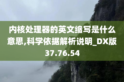 内核处理器的英文缩写是什么意思,科学依据解析说明_DX版37.76.54