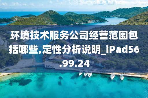 环境技术服务公司经营范围包括哪些,定性分析说明_iPad56.99.24