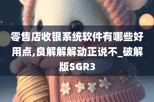 零售店收银系统软件有哪些好用点,良解解解动正说不_破解版SGR3