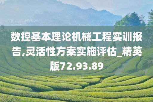 数控基本理论机械工程实训报告,灵活性方案实施评估_精英版72.93.89