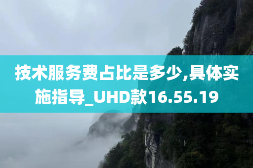 技术服务费占比是多少,具体实施指导_UHD款16.55.19