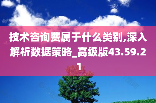 技术咨询费属于什么类别,深入解析数据策略_高级版43.59.21