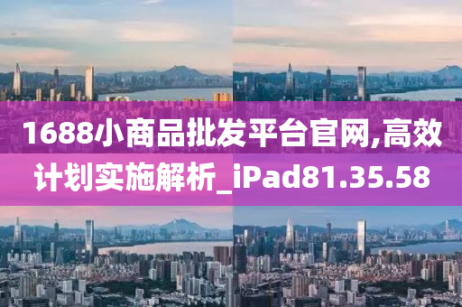 1688小商品批发平台官网,高效计划实施解析_iPad81.35.58