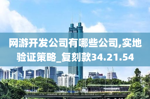 网游开发公司有哪些公司,实地验证策略_复刻款34.21.54