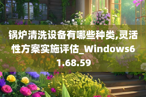 锅炉清洗设备有哪些种类,灵活性方案实施评估_Windows61.68.59