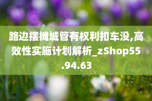 路边摆摊城管有权利扣车没,高效性实施计划解析_zShop55.94.63