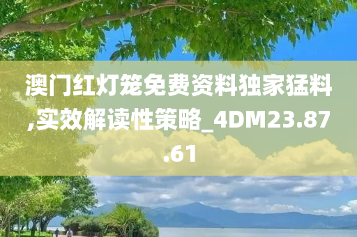 澳门红灯笼免费资料独家猛料,实效解读性策略_4DM23.87.61