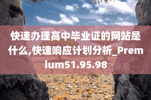 快速办理高中毕业证的网站是什么,快速响应计划分析_Premium51.95.98