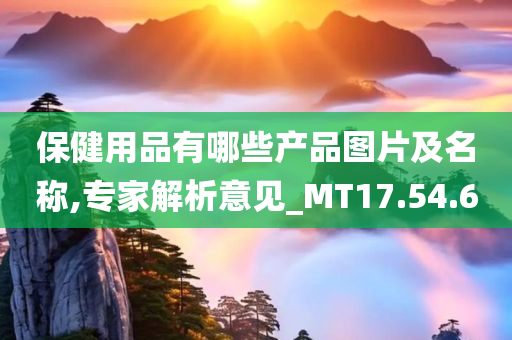 保健用品有哪些产品图片及名称,专家解析意见_MT17.54.60