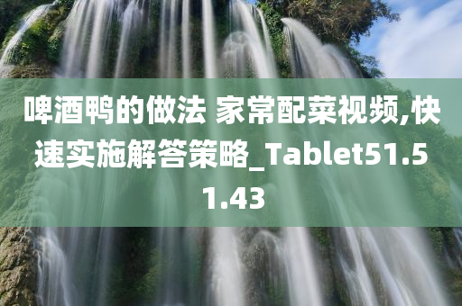 啤酒鸭的做法 家常配菜视频,快速实施解答策略_Tablet51.51.43