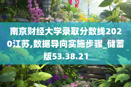 南京财经大学录取分数线2020江苏,数据导向实施步骤_储蓄版53.38.21