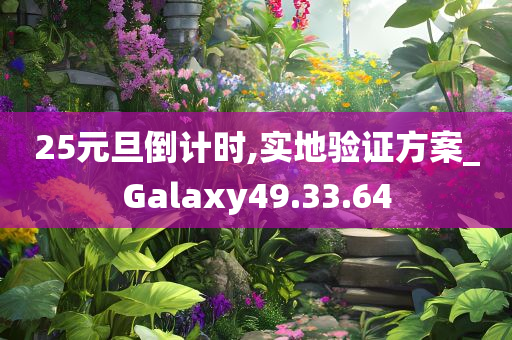 25元旦倒计时,实地验证方案_Galaxy49.33.64