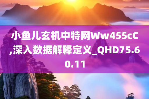 小鱼儿玄机中特网Ww455cC,深入数据解释定义_QHD75.60.11