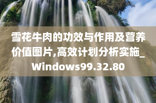 雪花牛肉的功效与作用及营养价值图片,高效计划分析实施_Windows99.32.80