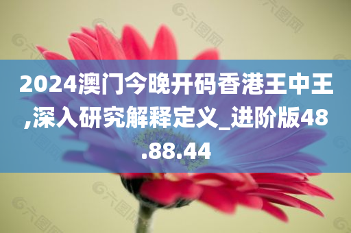 2024澳门今晚开码香港王中王,深入研究解释定义_进阶版48.88.44