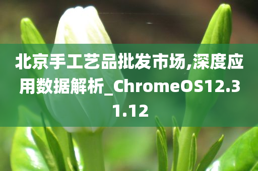 北京手工艺品批发市场,深度应用数据解析_ChromeOS12.31.12