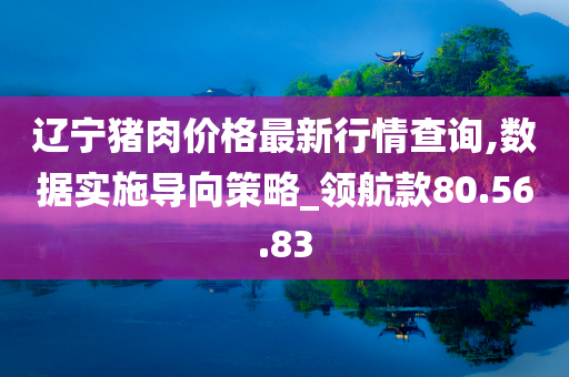 辽宁猪肉价格最新行情查询,数据实施导向策略_领航款80.56.83