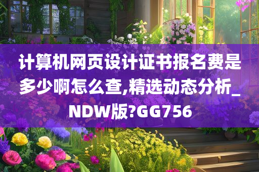 计算机网页设计证书报名费是多少啊怎么查,精选动态分析_NDW版?GG756