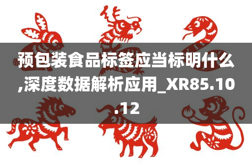 预包装食品标签应当标明什么,深度数据解析应用_XR85.10.12